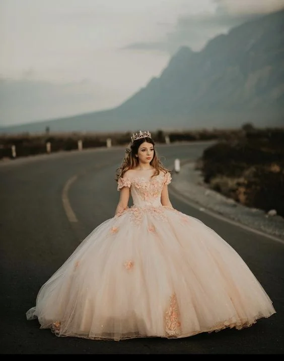 boho-chic dressChic Off The Shoulder Tulle Appliques Ball Gown Princess Dress Sweet 16 Dress Y399