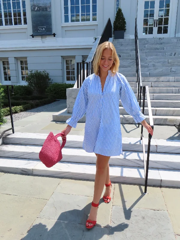 Season Finale Sale Geneva Mini Dress Blue and White Stripe